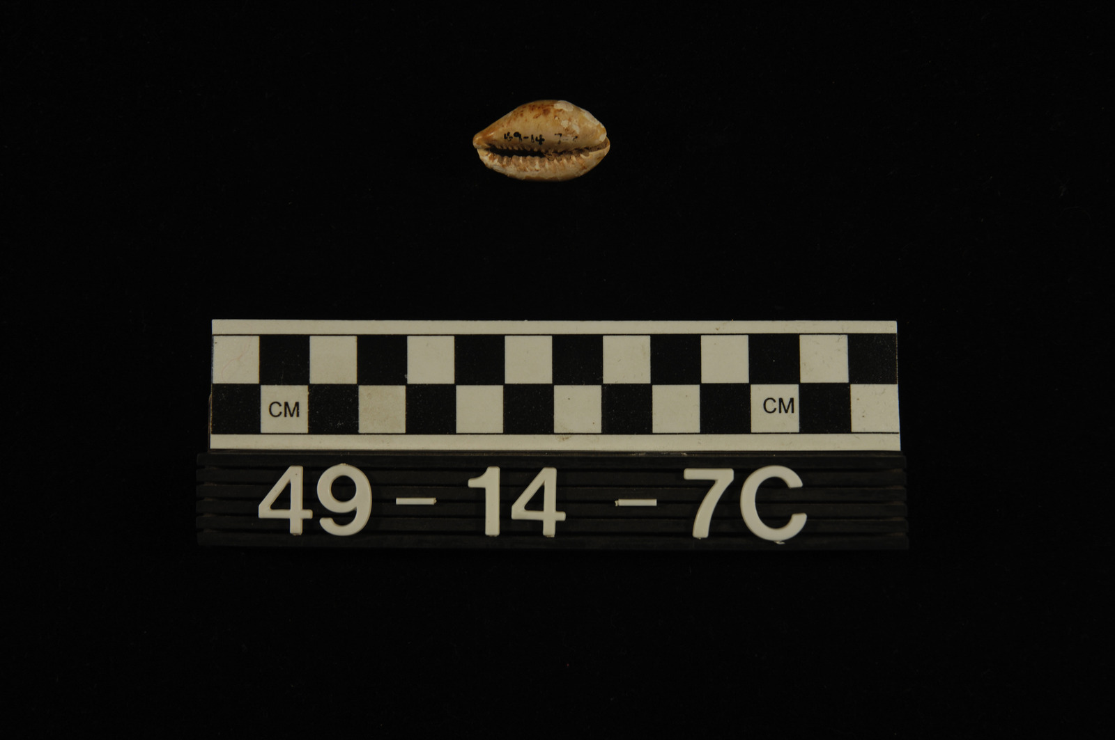 193693