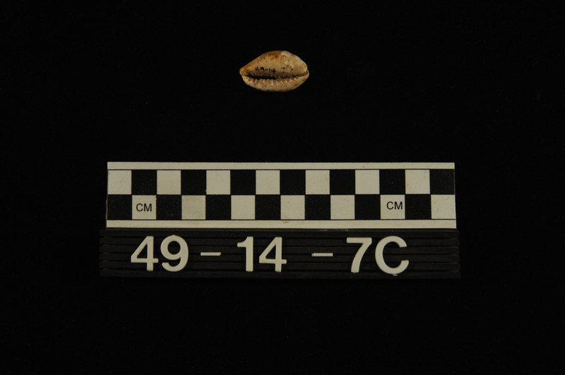 193693