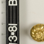 194040