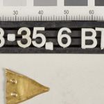 194398