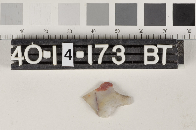 194495