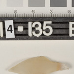 194543