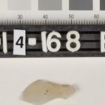 194544