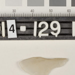 194552