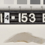194555