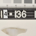194564