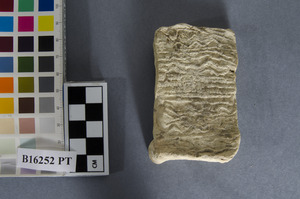 B16252