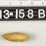 195592