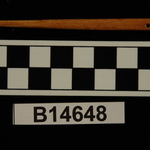 196298
