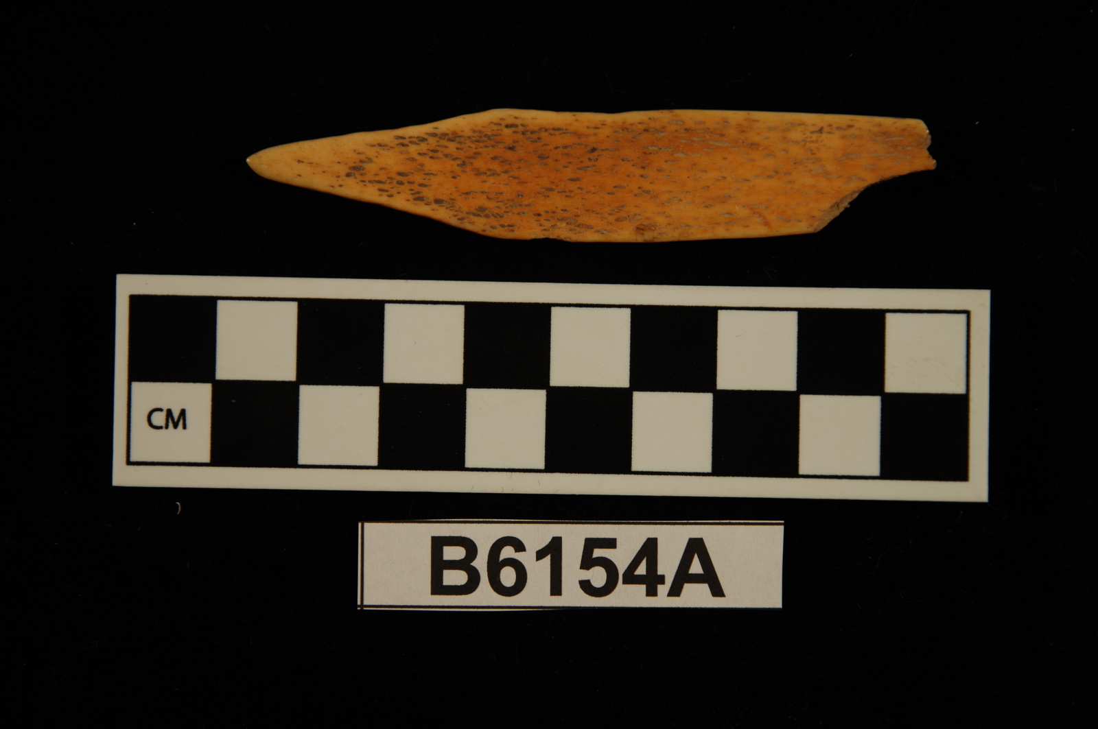 196319