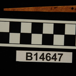 196321