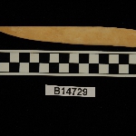 196393