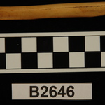 196396