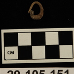 196463