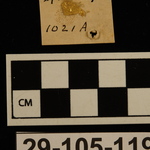 196466