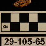196515