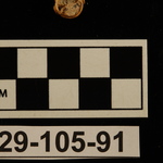 196517