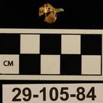 196562