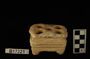 B17221