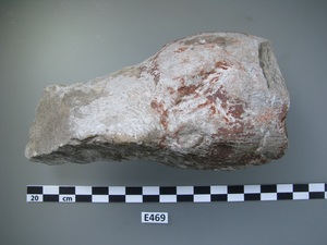 E469