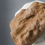 200131