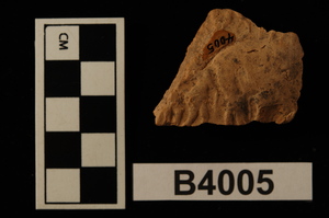 CBS4005