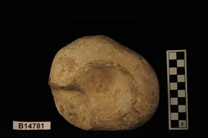 B14781