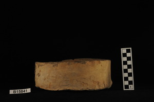 B15841