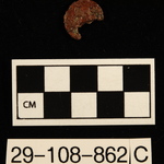 202344