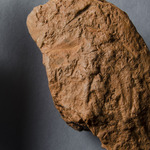 203314