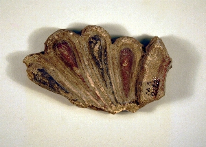 MS2183