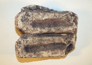 MS2233