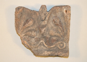 MS2214