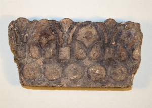 MS2231