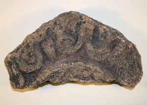 MS2241