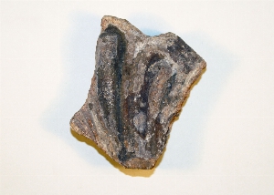 MS2181