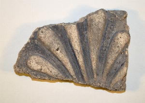 MS2224