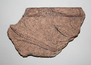 MS2170
