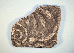 MS2192