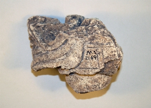 MS2169
