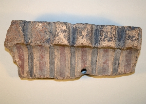 MS2238