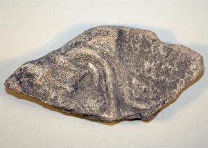 MS2235