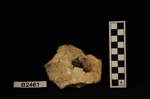 B2461
