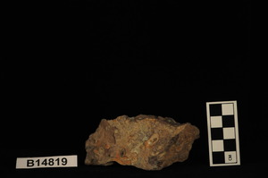 B14819