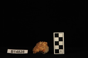 B14828