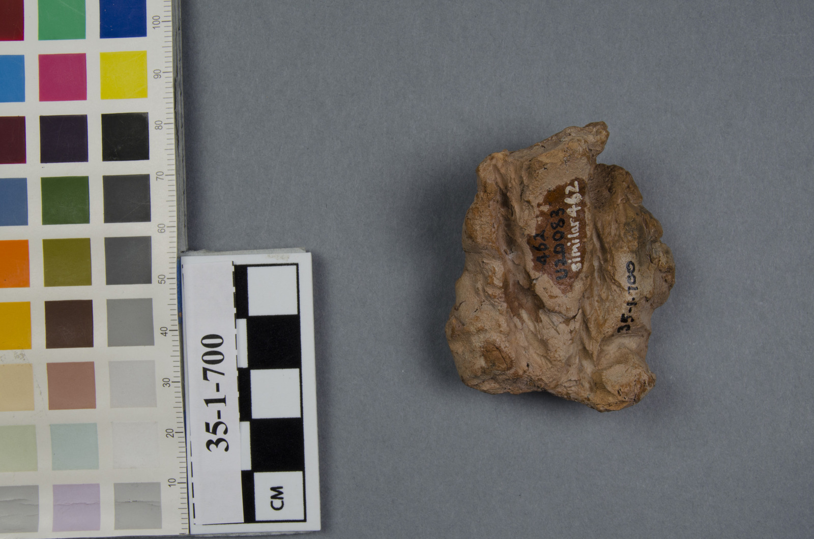 206027
