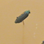 206481