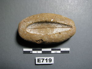 E719