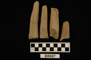 B8607