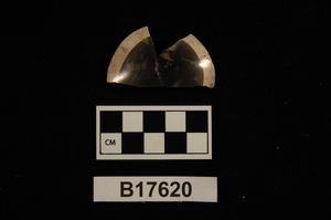 B17620